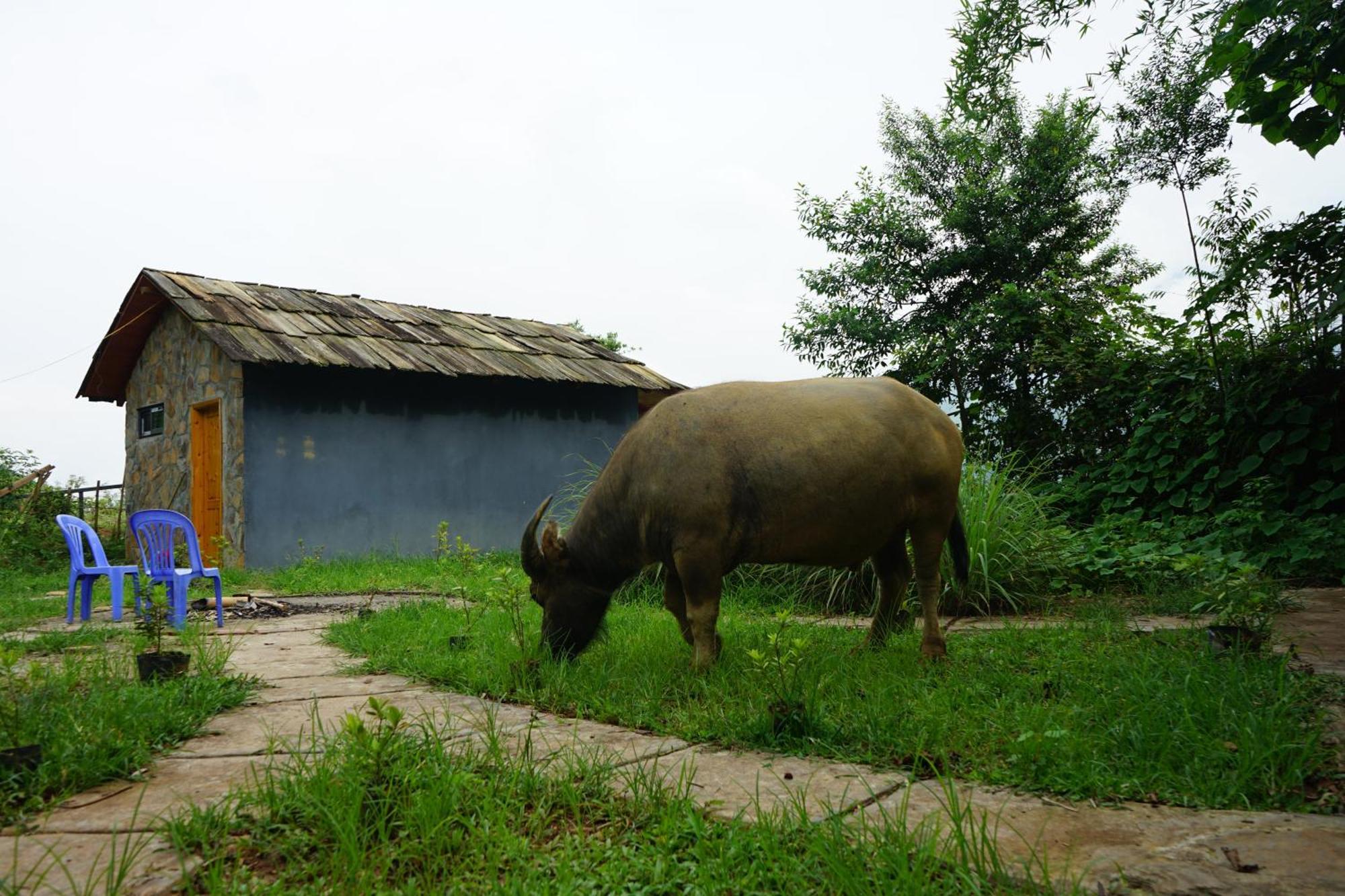Sapa Hillcrest Homestay Lao Cai Exterior foto