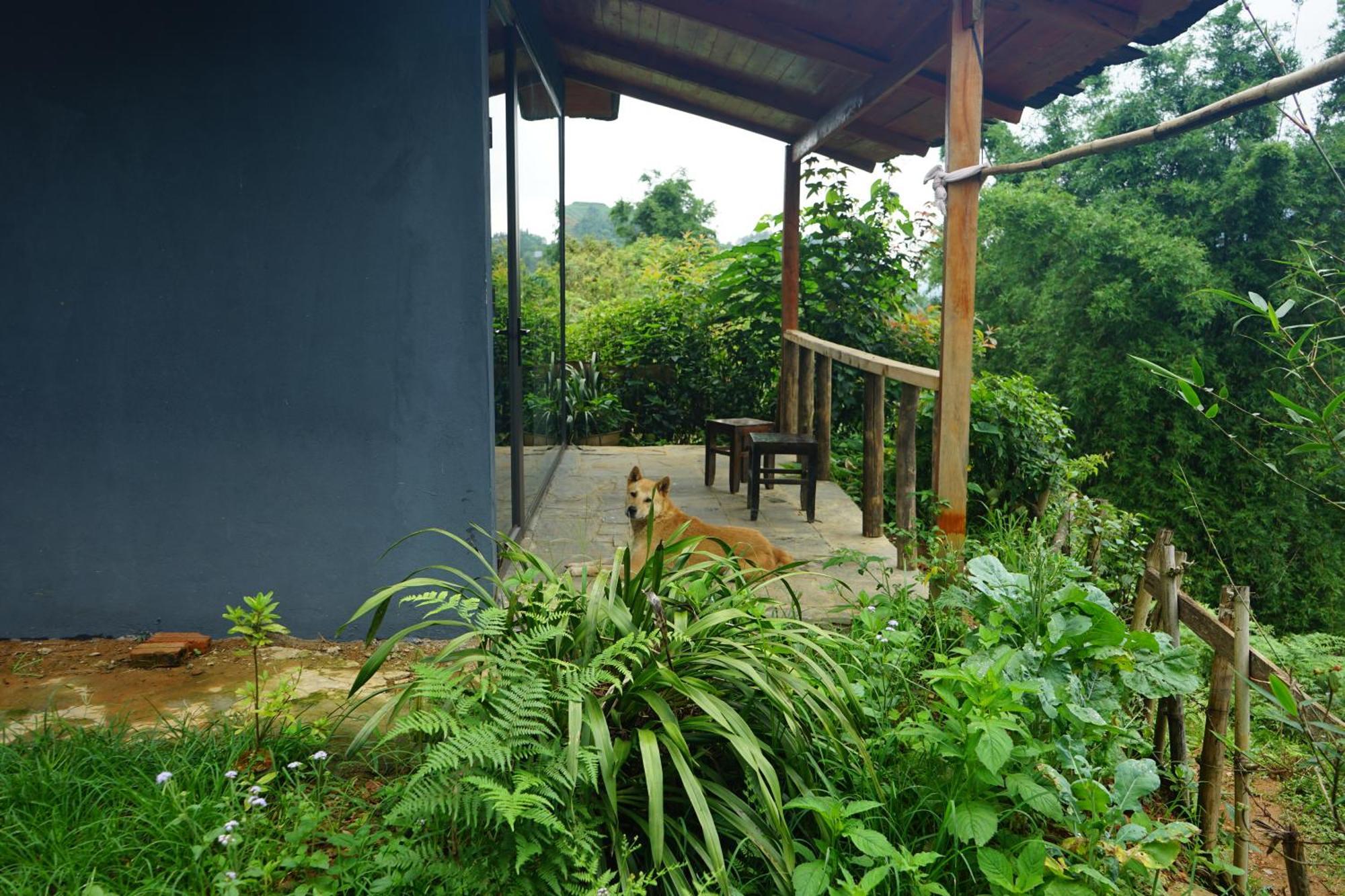 Sapa Hillcrest Homestay Lao Cai Exterior foto